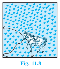 Page 158 Chapter 11 Class 10th Maths NCERT 2024-25