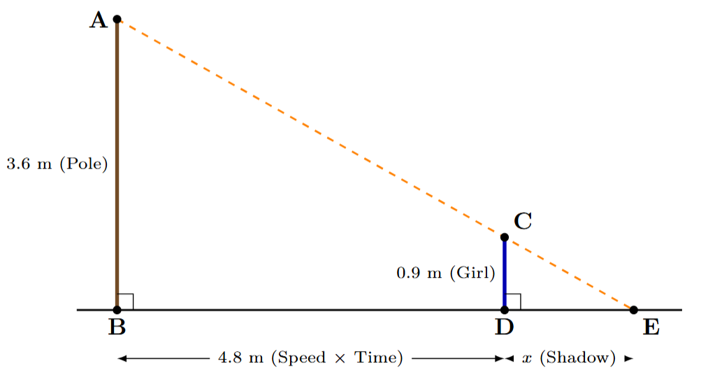 Diagram showing a lamp-post AB, a girl CD walking away from it, and her shadow DE, with the tip of the shadow at E.