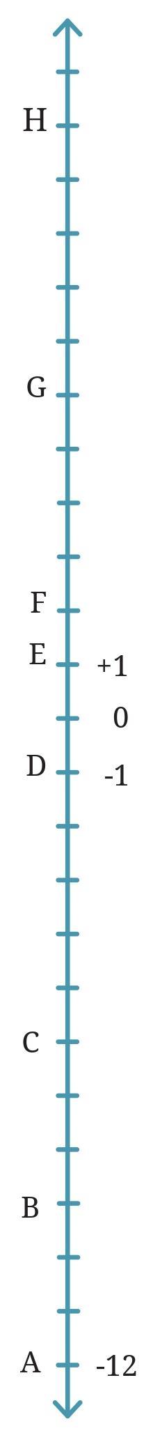 Figure it Out (Page 247) Chapter 10 Class 6th NCERT (Ganita Prakash)