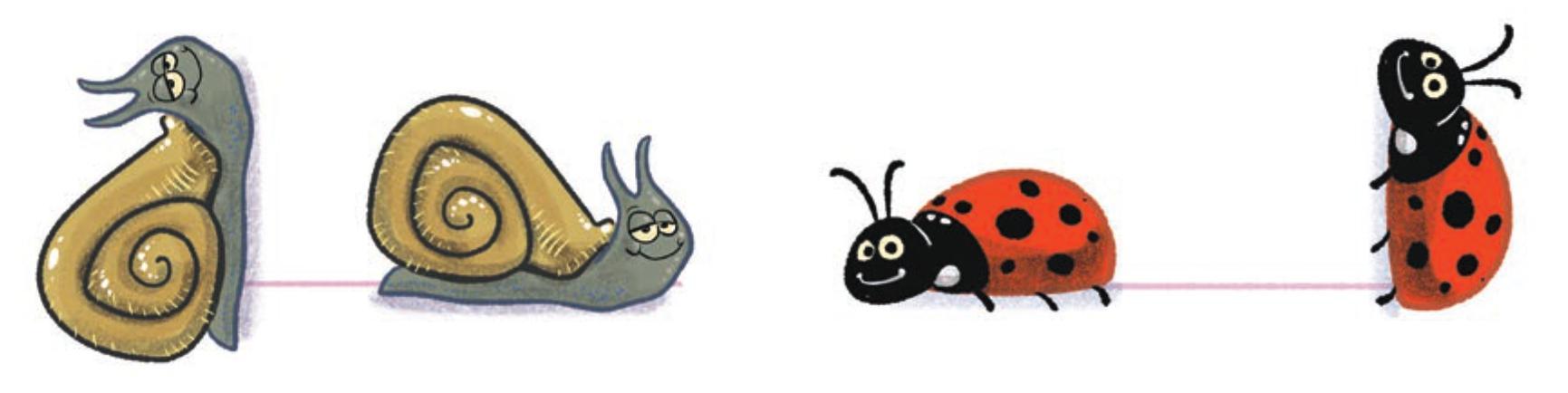 Figure it Out (Page 45 - 46) Ques 5 Chapter 2 Class 6th NCERT (Ganita Prakash)