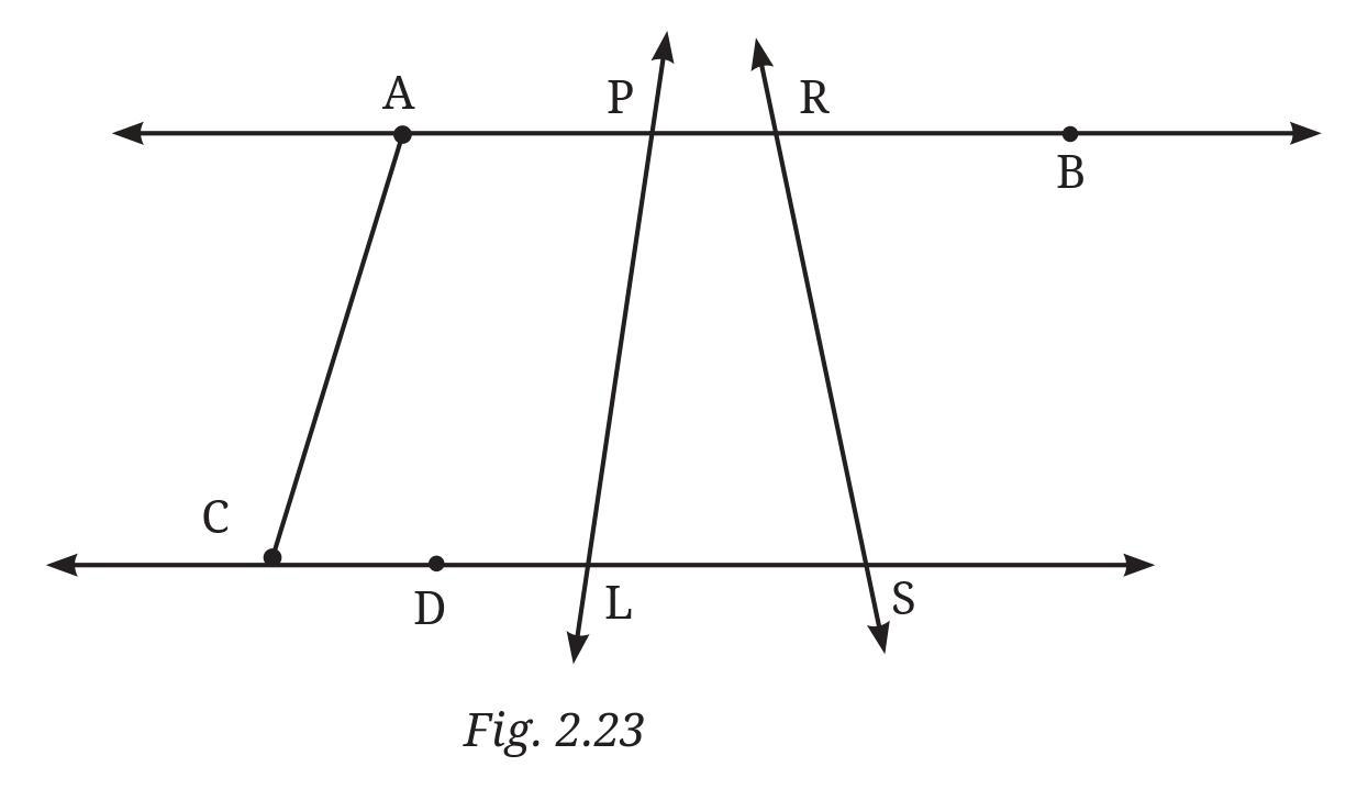 Figure it Out (Page 49 - 50) Ques 1 Chapter 2 Class 6th NCERT (Ganita Prakash)