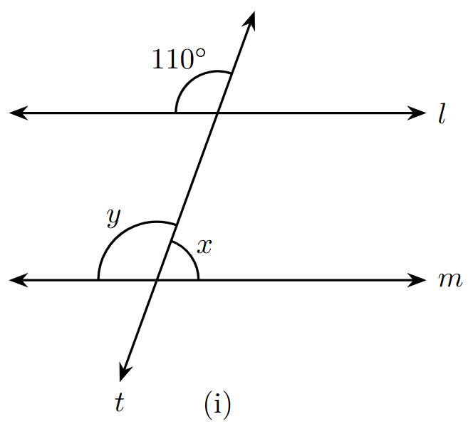 Figure 1 with angle y labelled