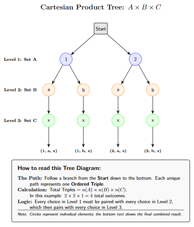 Tree diagram showing the systematic branching out of elements from three different sets to form triples.