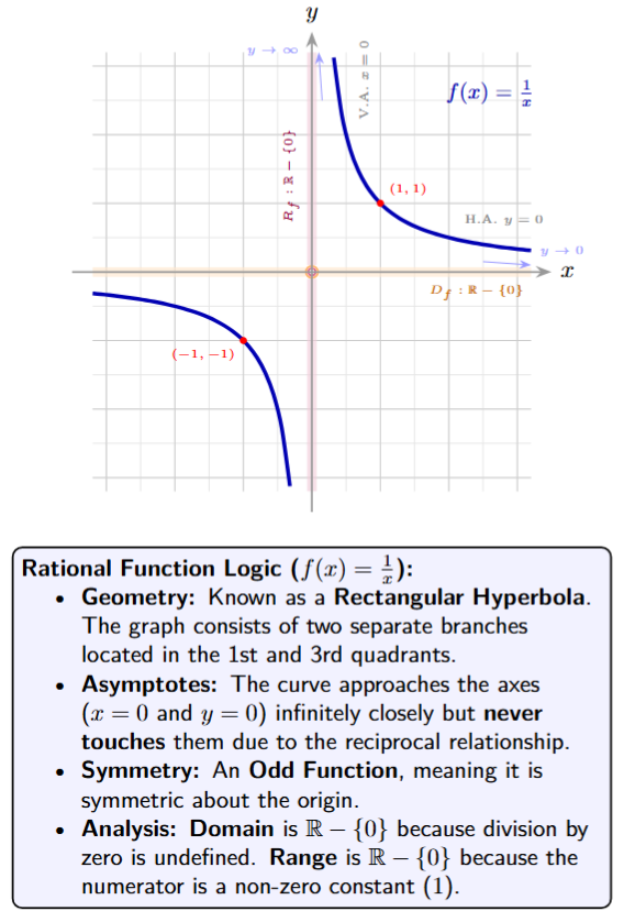 Graph of y=1/x showing two separate branches in 1st and 3rd quadrants