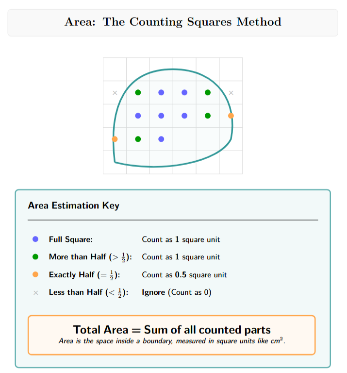 Irregular shape on a grid for area calculation