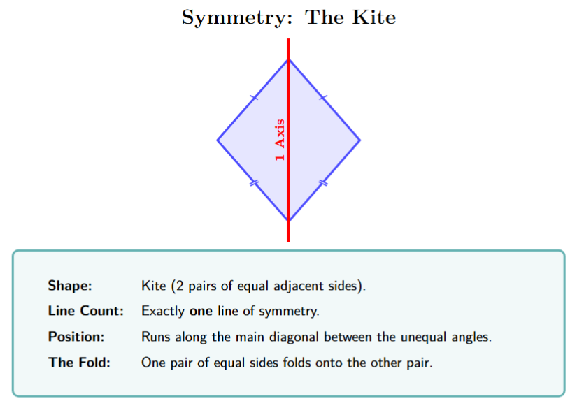 A kite with one vertical line of symmetry along its main diagonal.