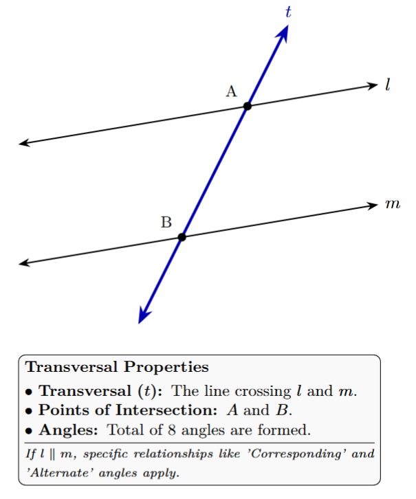 A line t (transversal) intersecting two other lines l and m at two distinct points.