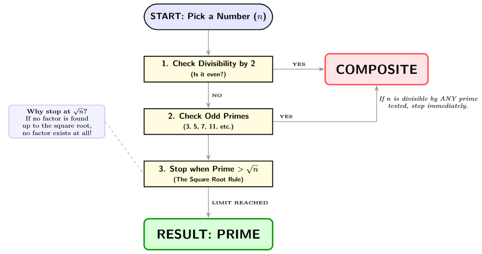 A flowchart for checking if a number 'n' is prime. Step 1: Is n divisible by 2? (If yes, composite). Step 2: Is n divisible by 3, 5, 7...? Step 3: Stop when the prime being tested is greater than the square root of n. Final decision: If no factors found, it's Prime.